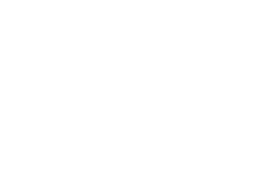 tamancleaner.com